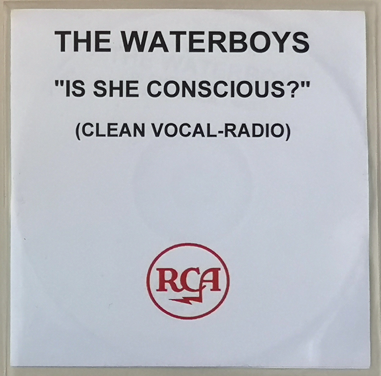 wbs_conscious_clean_vocal_promo.jpg