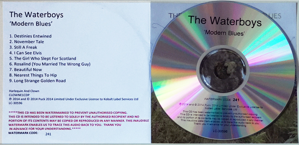 wbs_modern_blues_cd_promo